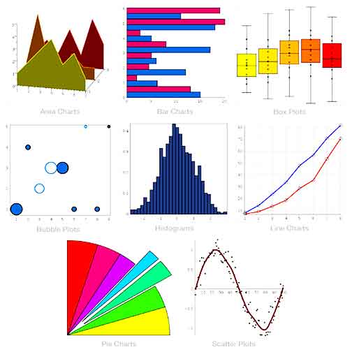 Statistics Assessment