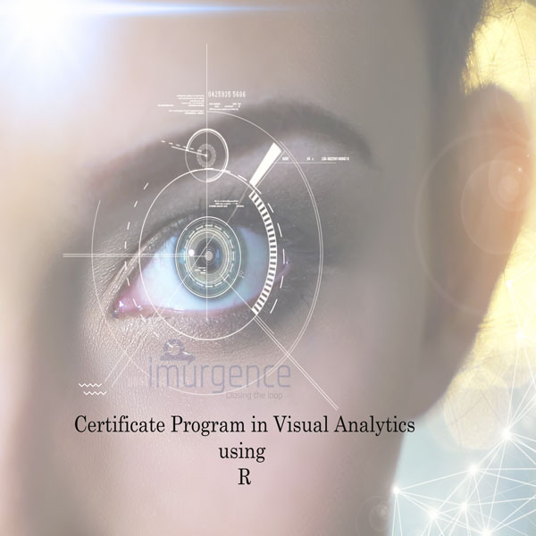 Certificate Program in Visual Analytics Using R