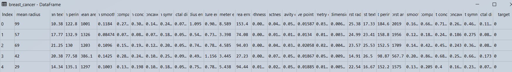 Breast cancer dataset description using the describe option of pandas