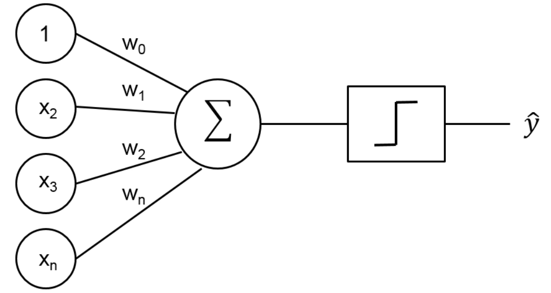 Perceptron Schematic Diagram