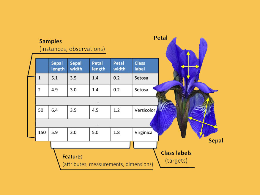 sample-features-target